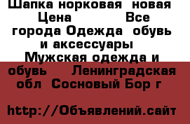 Шапка норковая, новая › Цена ­ 5 000 - Все города Одежда, обувь и аксессуары » Мужская одежда и обувь   . Ленинградская обл.,Сосновый Бор г.